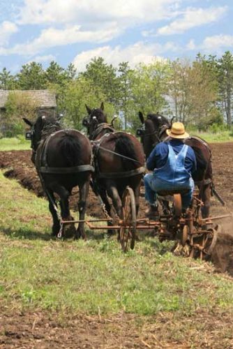 Letters to the Editor from the Capper’s Farmer Summer 2019 Issue